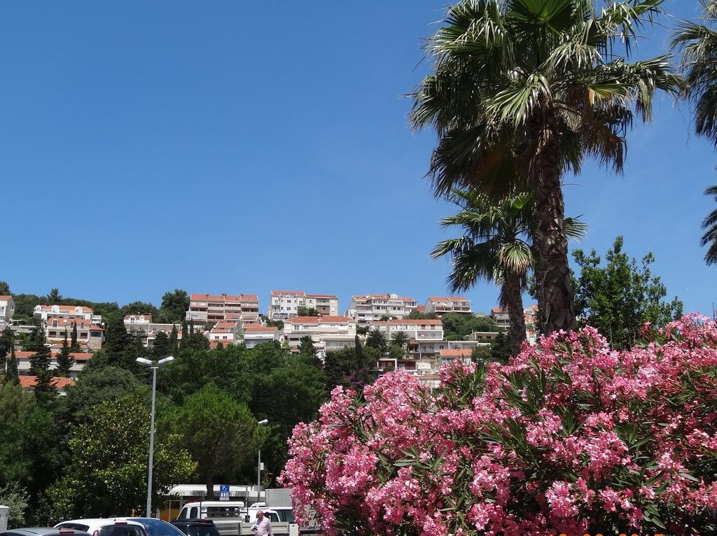 Apartments Roko Dubrovnik Exterior photo